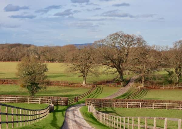 A sunny afternoon in Graffham by Diana Challen