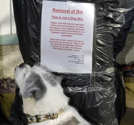 Sammie and Sue with their dogs in Mountney Drive, Pevensey Bay (Photo by Jon Rigby)