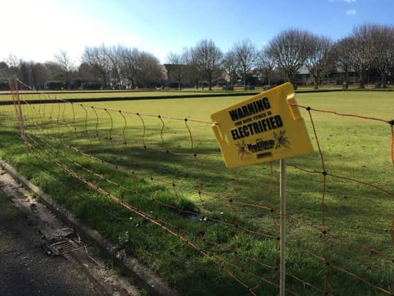 The electric fence in Beach House Park, Worthing