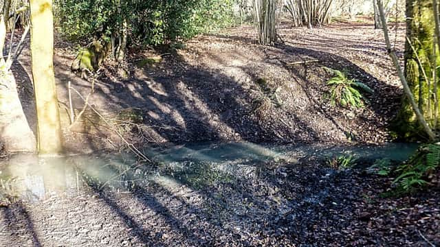 Sandgate Conservation Society want to build a footbridge over a stream at Sandgate Country Park SUS-191203-124045001