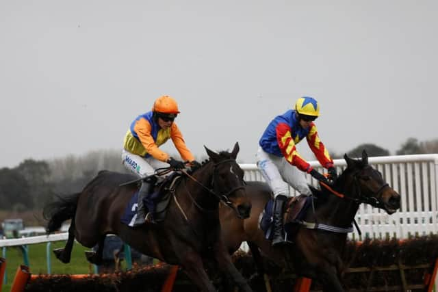 Flashjack, nearest the camera, was another winner on Saturday / Picture by Clive Bennett - www.polopictures.co.uk