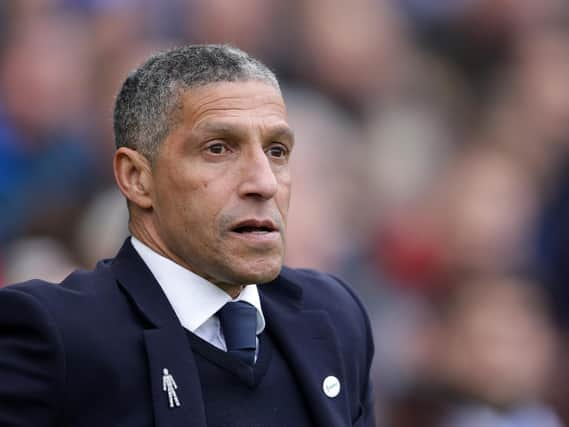 Brighton and Hove Albion manager Chris Hughton