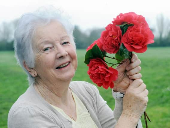 Carmel Pardi with her camellias. Picture: Kate Shemilt ks190143-2