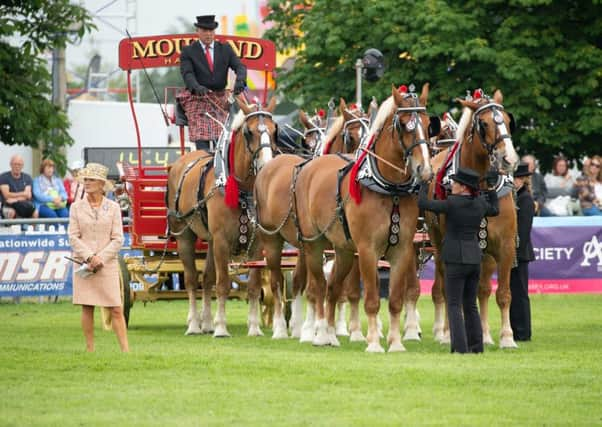 The South of England Show. Picture by Julian Portch