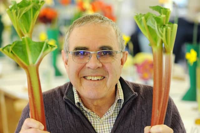 ks190195-5 Harting Hort Show phot kate Malcolm Hutchings with his first prize winning Rubarb.ks190195-5 SUS-190704-094613008