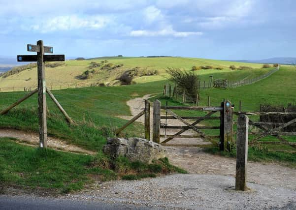 The South Downs. Pic Steve Robards SR1906956 SUS-190313-210638001