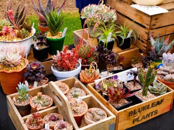 Spring Plant Fair at Arundel Castle