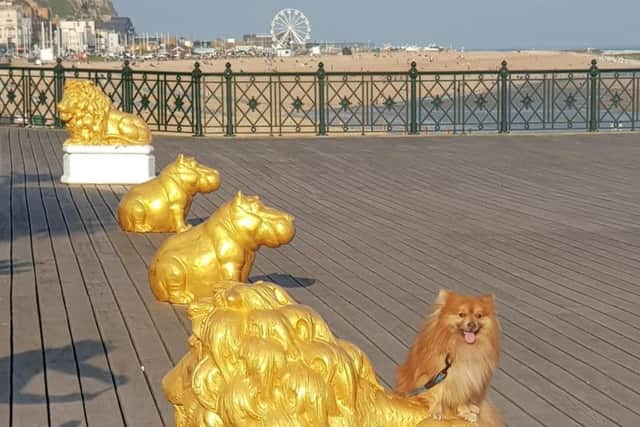 Police are appealing for witnesses after the statue was thrown over the side of Hastings Pier. Picture: Brett McLean