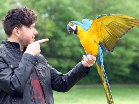 Curtis Fullman with Rhaegar the macaw. Picture: Derek Martin