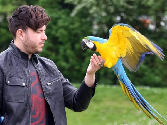 Curtis Fullman and his parrot Rhaegar. Picture: Derek Martin