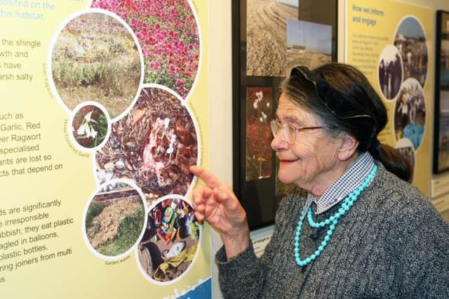 DM1942607a.jpg. Friends of Shoreham Beach showcase Local Nature Reserve in exhibition at Marlipins Museum, Shoreham. Jacky Woolcock. Photo by Derek Martin Photography. SUS-190430-182934008