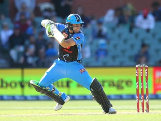Harry Nielsen in action for the Adelaide Strikers.