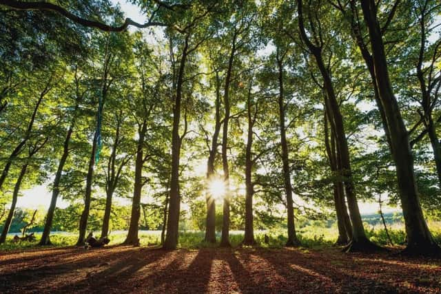 Spending time outdoors can reduce stress according to the South Downs National Park Authority SUS-190515-113945001