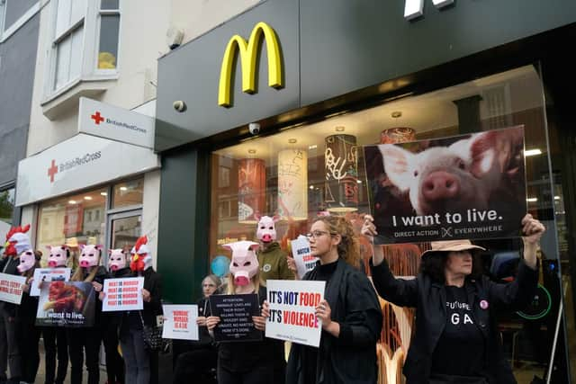 Protesters make their stand