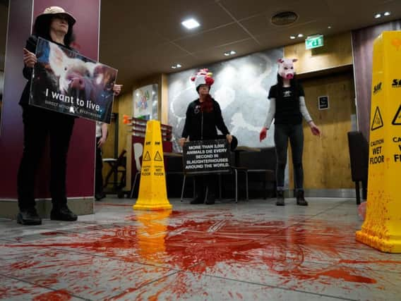 DxE protesters at Brighton London Road McDonald's