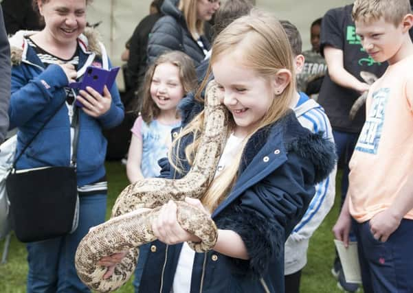 STEM in the park at Crawley