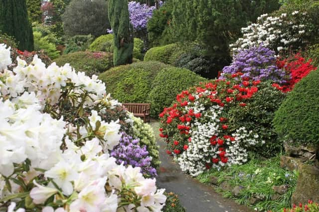 Leonardslee Gardens, Lower Beeding. Photo by Derek Martin Photography. SUS-180427-233141008