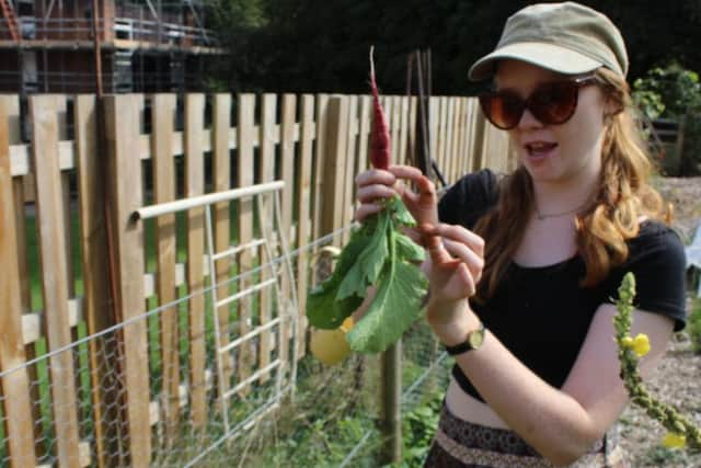 Meg Trump at the allotment