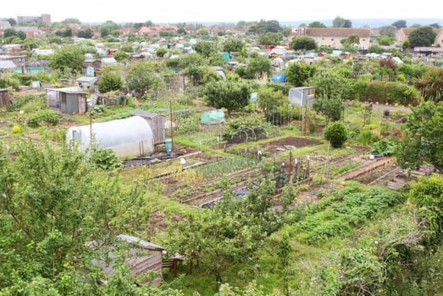 West Tarring Allotments is offering visitors a guided tour as part of the Open Gardens initiative, being held by Care for Veterans. Photo by Derek Martin DM1963961a