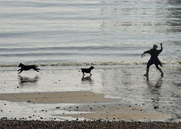 Exercise on Eastbourne Seafront (Photo by Jon Rigby) SUS-190313-124935003