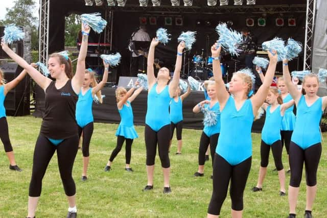 DM17736600a.jpg Apulstock music festival 2017 at the Fishbourne Centre, Fishbourne, Nr Chichester. Organiser Alex Fryer. Photo by Derek Martin.