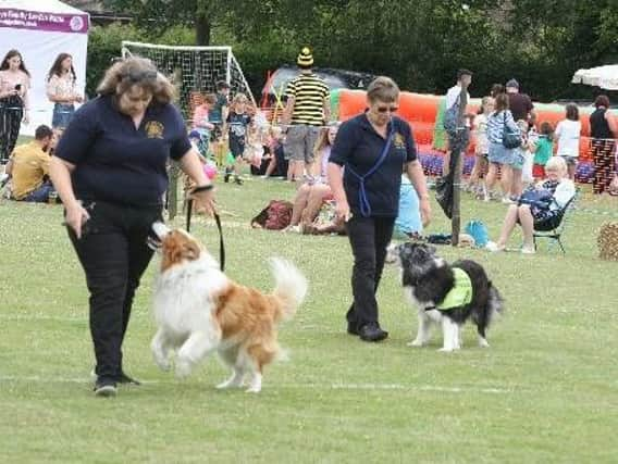 Dog obedience demostation.