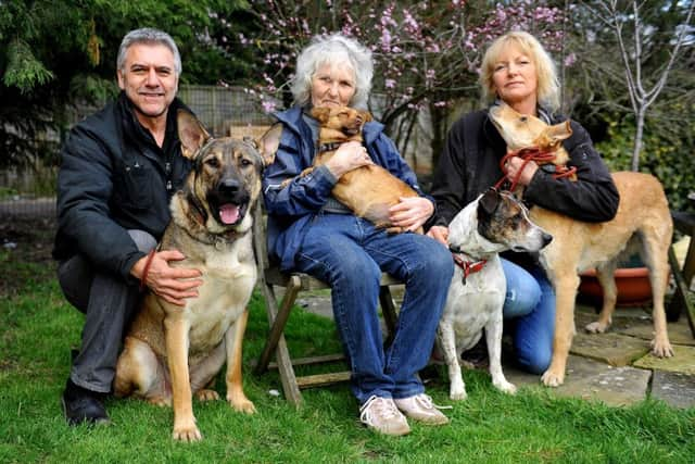 Holbrook Animal Rescue Centre owners Laura and Cliff Santini with Laura's mum Sylvia Bradbury. Photo: Steve Robards SR1807357 SUS-180322-174308001