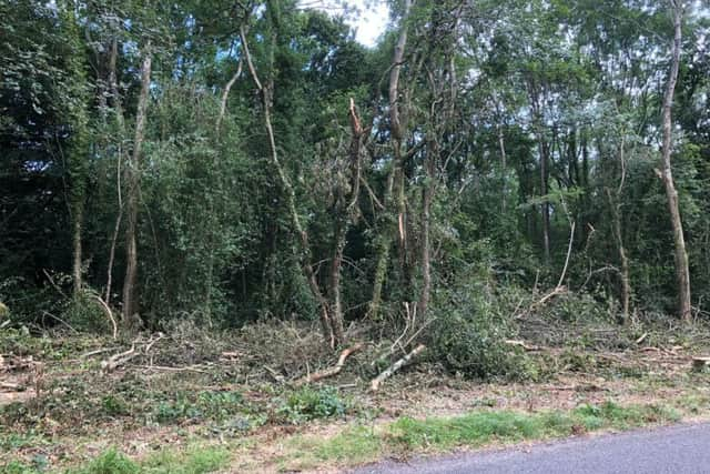 Dozens of trees in Balls Cross have been cut down, much to the anger of local residents