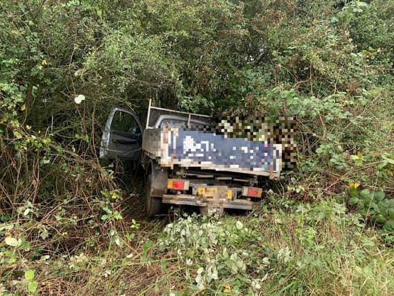 The van left the road and ended up in the bushes