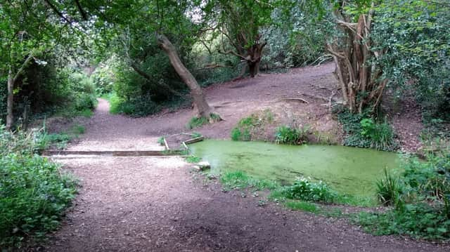 The land in Ore Valley