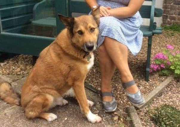 Phoenix with his owner Teresa. Photo by Vets Now