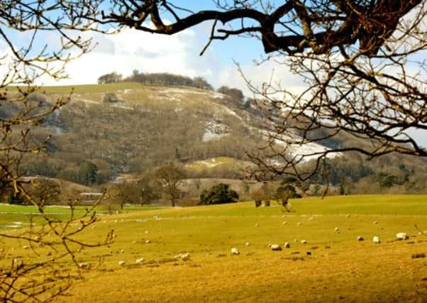 JPCT 140313 Scenic. South Downs. Chanctonbury Ring. Photo by Derek Martin