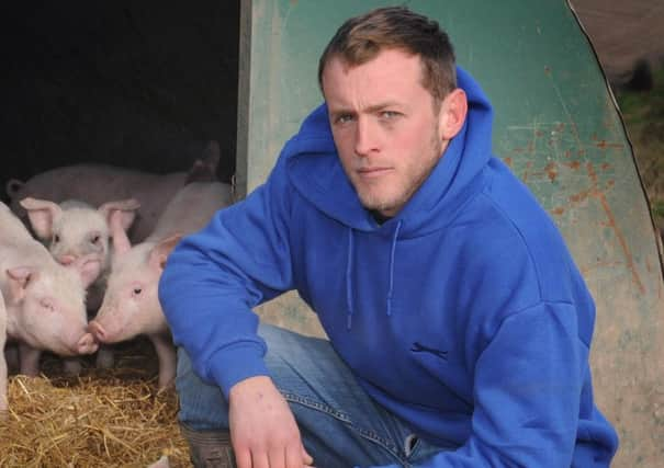 JPCT 06-02-13 S13063381X Steyning. Pig farmer, Jo Ledder, at Red Gate Farm -photo by Steve Cobb