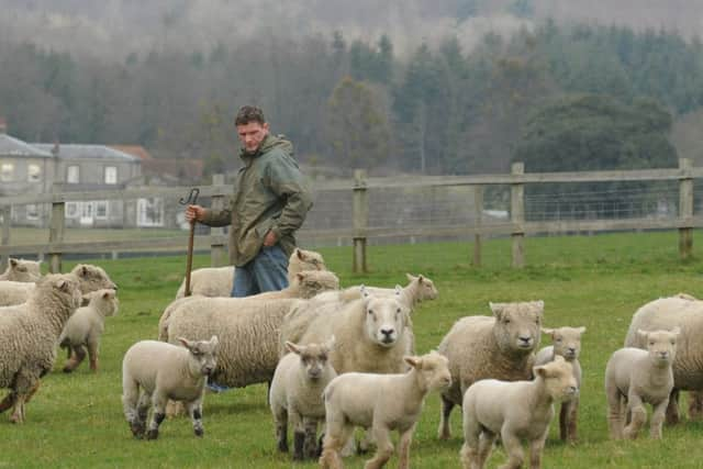 C110419-3 JPOS Chi Shepherd  Photo Louise Adams

Shepherd Nick Page