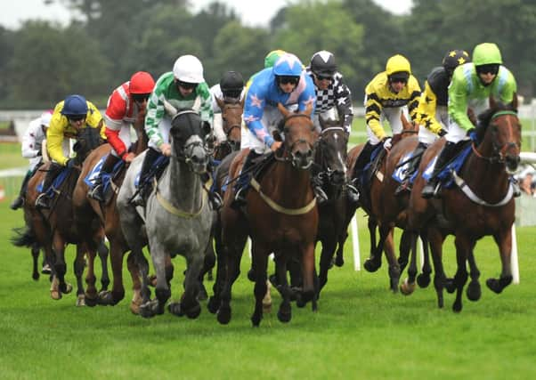 Fontwell Park stages racing for the second day in a row  Picture by Louise Adams