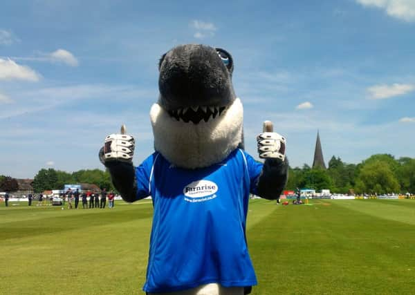 Sid the Shark at Horsham