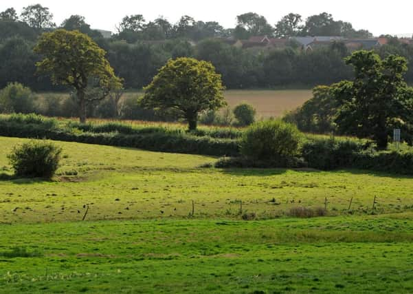 JPCT 170912 Countryside east of Henfield. Photo by Derek Martin