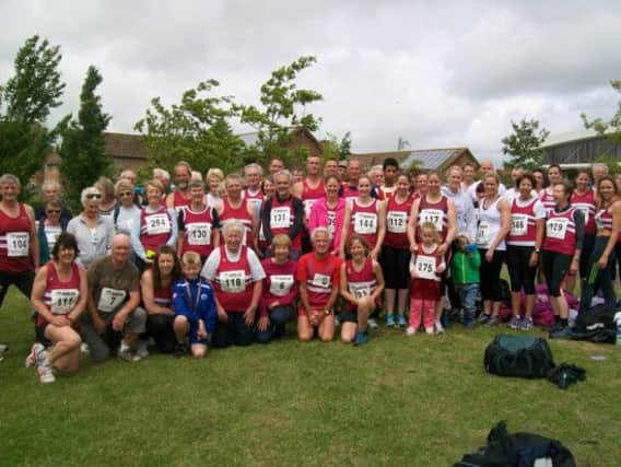 haywards heath harriers at the downlands fun run 2013