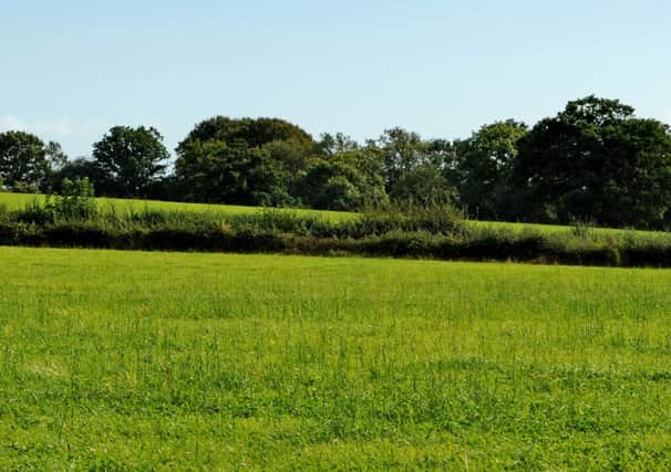 JPCT 170912 Countryside east of Henfield. Photo by Derek Martin