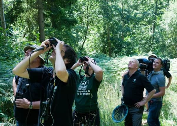 The race held to mark the start of the Big Butterfly Count - picture by Nigel Symington