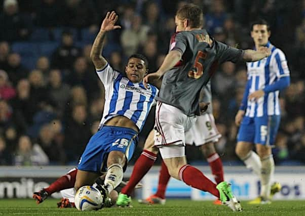 Brighton midfielder Liam Bridcutt