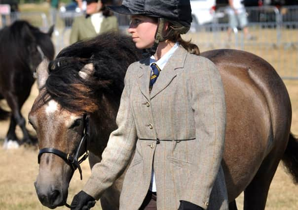 Rye Show Preview