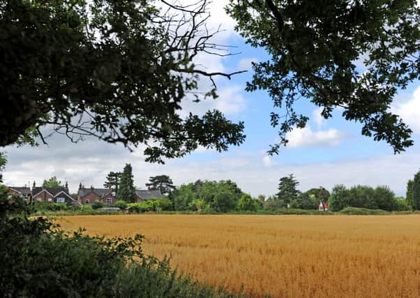 JPCT 140813 S133330580x Broadbrodge Heath. Field behind Shelley Arms -photo by Steve Cobb