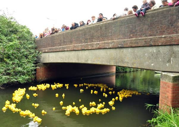 Duck Race 1