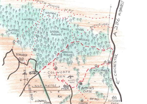 Country walk: Colworth Down