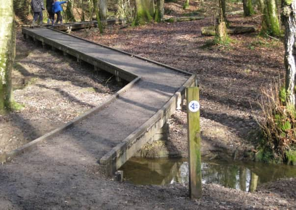 Part of the existing Riverside Walk (submitted).