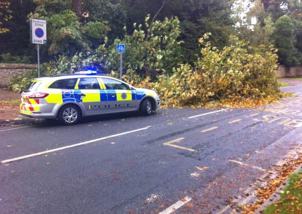 The tree blocked the footpath and part of the road at North Parade