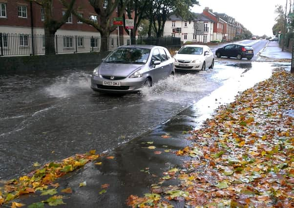 JPCT 281013 S13429998x Brighton Road, Horsham. Wind damage -photo by Steve Cobb