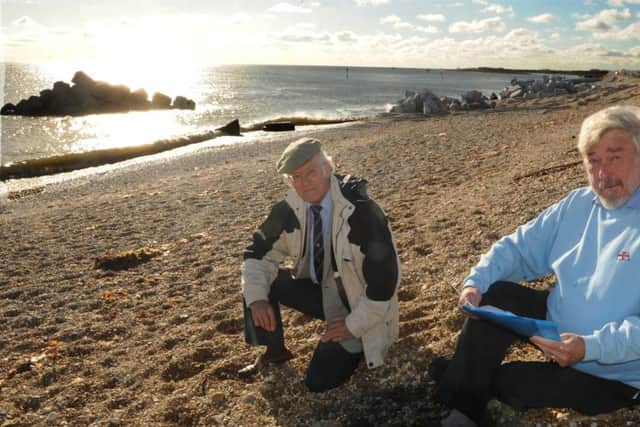 Pagham rocks - Pagham Parish Council chairman Ray Radmall and fellow councillor Tony Sutcliffe



Picture by Louise Adams  C131570-3 Bog Pagham Beach