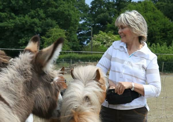 Actress Alexander Bastedo at the ABC animal sanctuary